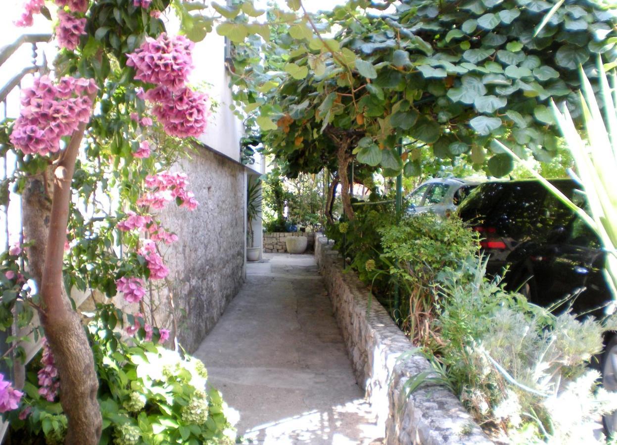 Marino Drvenik (Split-Dalmatia)