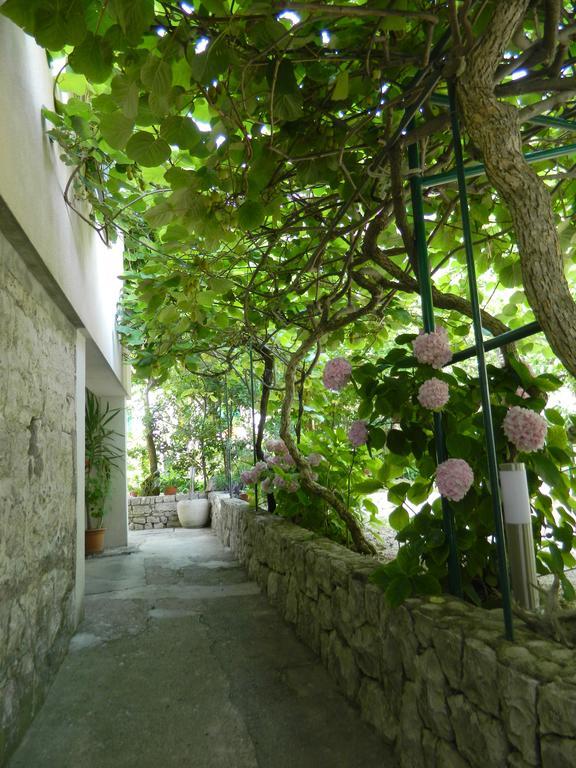 Apartment Marino Drvenik (Split-Dalmatia)