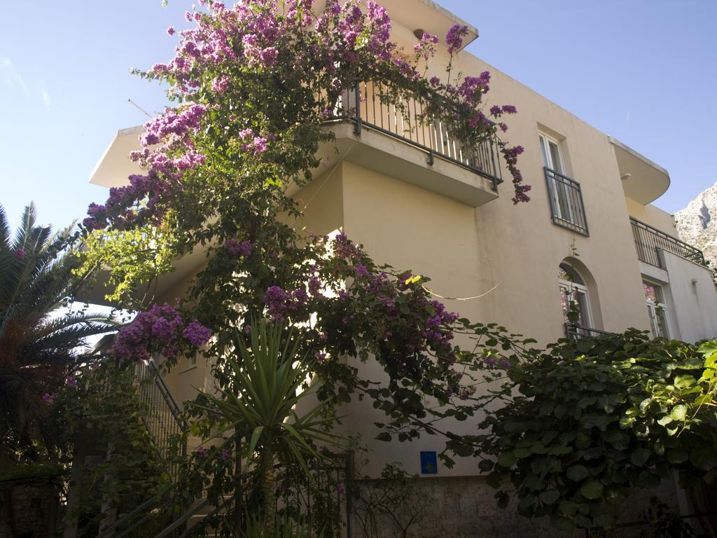 Marino * Drvenik (Split-Dalmatia)
